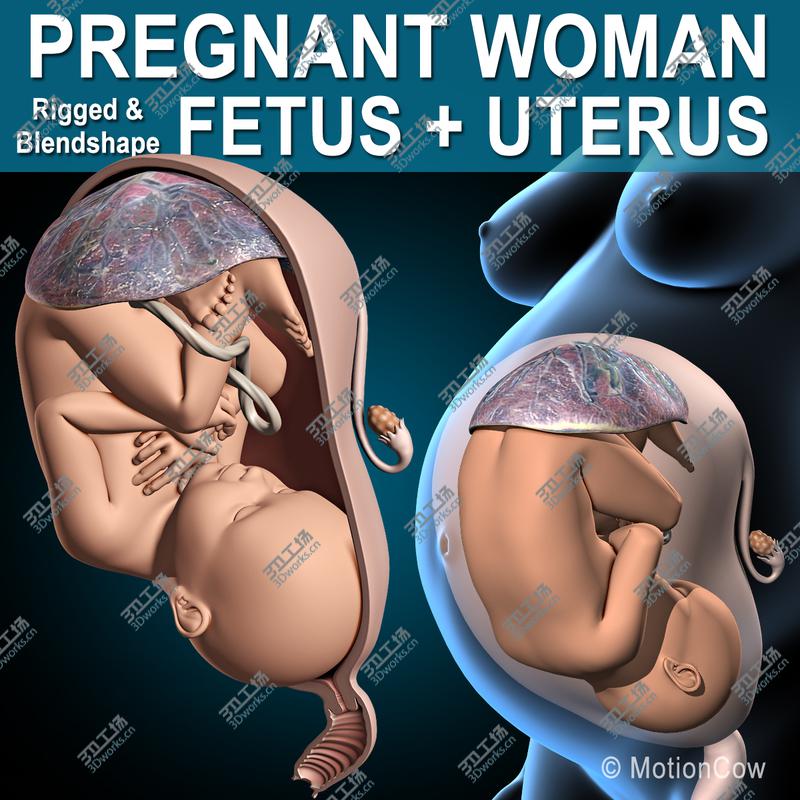 images/goods_img/20210113/Pregnant, Fetus & Uterus/1.jpg